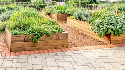 The Pros and Cons of Raised Gardens