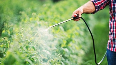 Why Organic: Harmful Effects of Chemical Pesticides