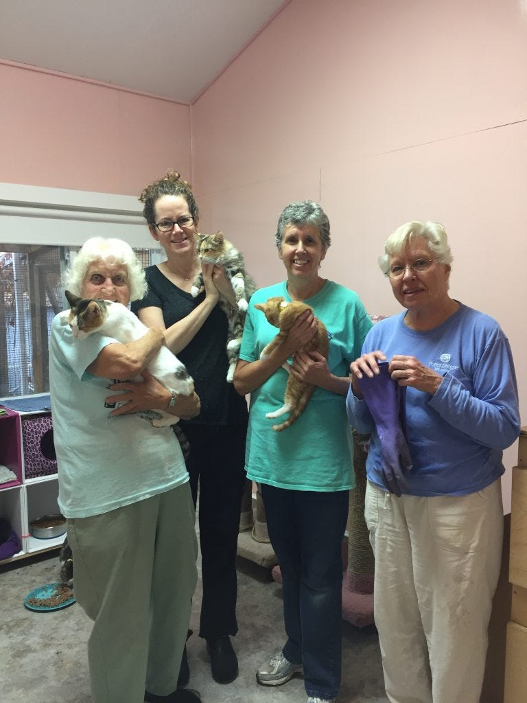 Volunteers at Pat Brody Shelter for Cats holding cats