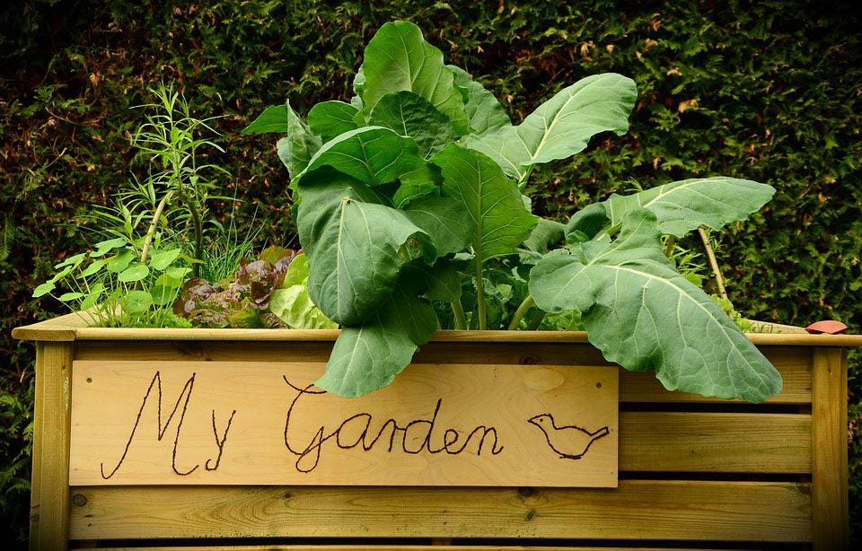 garden bed container garden