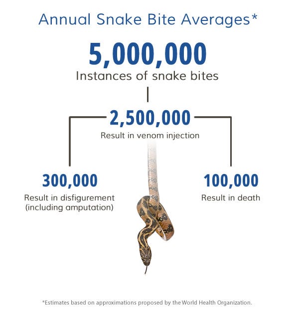 Snake Bite Facts