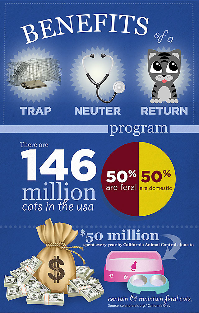 Benefits of Trap Neuter Return Programs, part 1