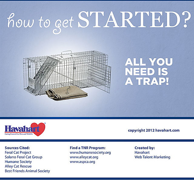 Benefits of Trap Neuter Return Programs, part 5