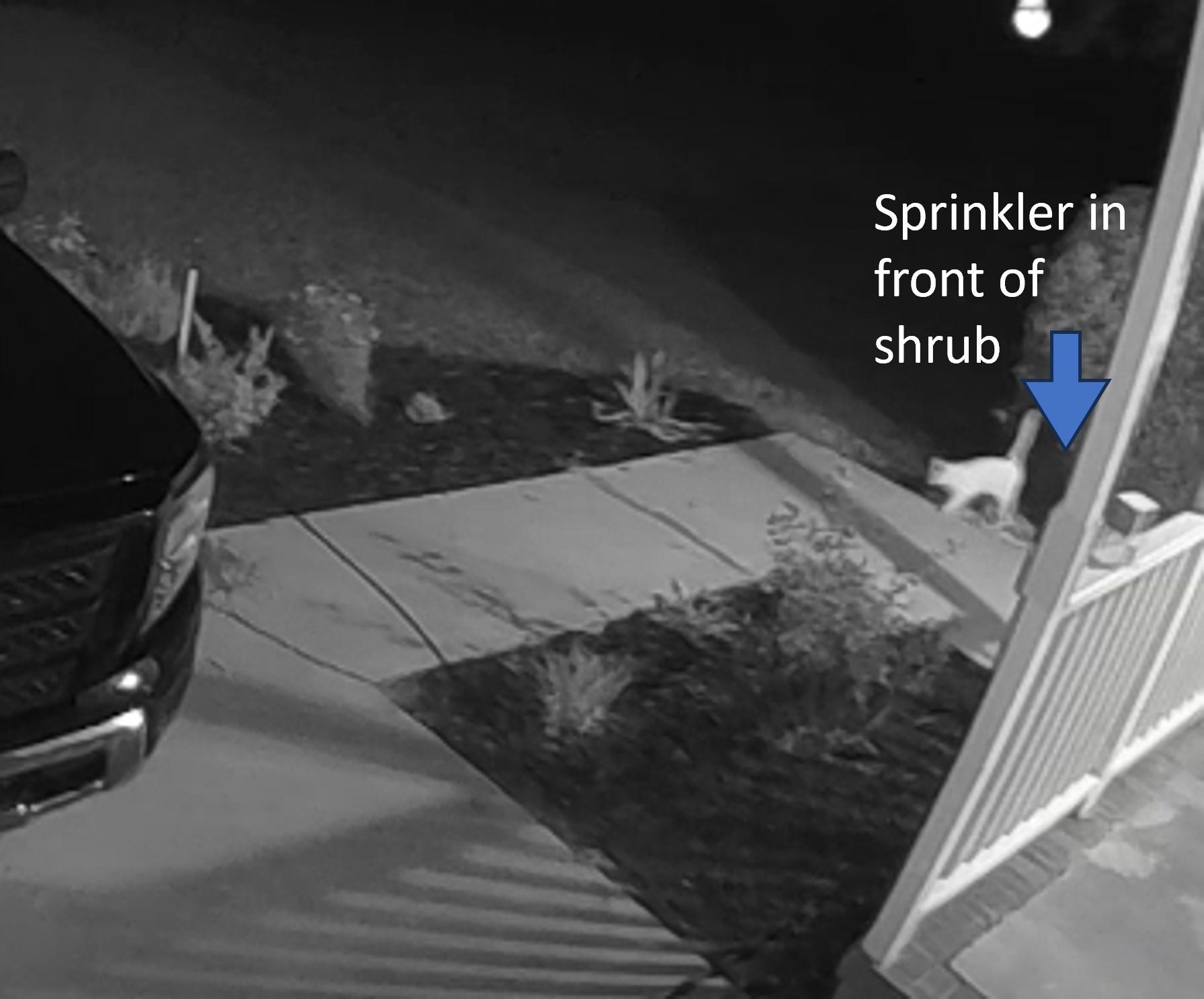 A real photo of  Critter Ridder® Motion-Activated Animal Repellent & Sprinkler by Steve (1)