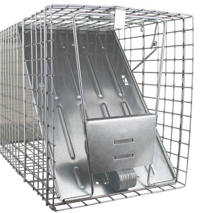 Havahart® Large 1-Door Animal Trap | 1079