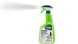 Spray