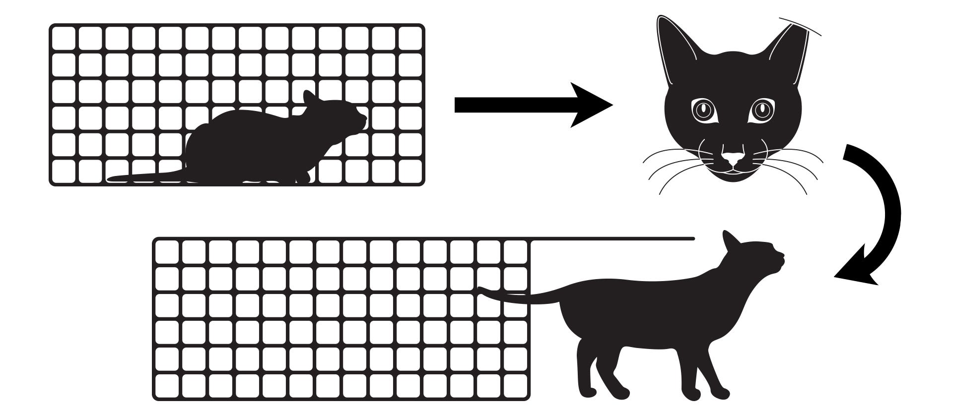 graphic showing the steps of trap, neuter, return: cat getting trapped, cat getting neutered and having an ear tipped, and cat getting return to original location