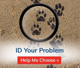 ID Your Problem