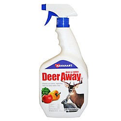 Deer Awway