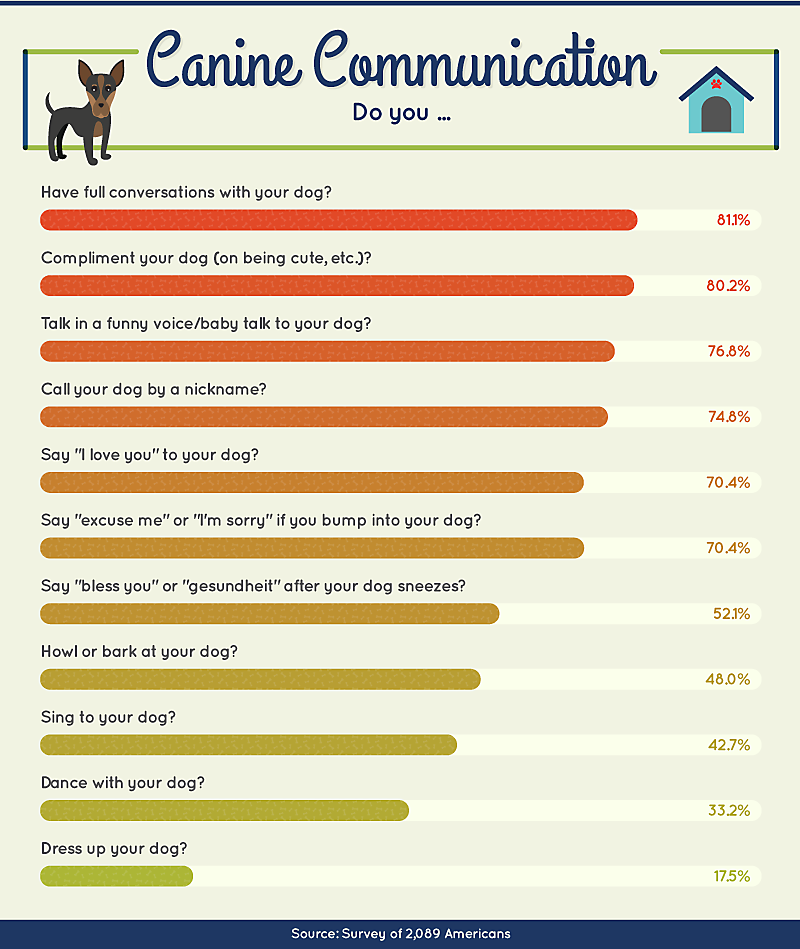 Canine Communication