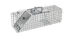 Medium 1-Door >Easy Set Animal Trap