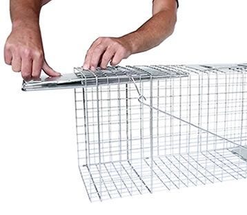 Havahart Live Trap How-To, Live Trapping, Havahart Cage