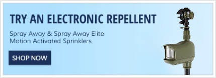 Electronic Repellents