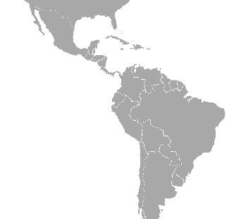 armadillo geography