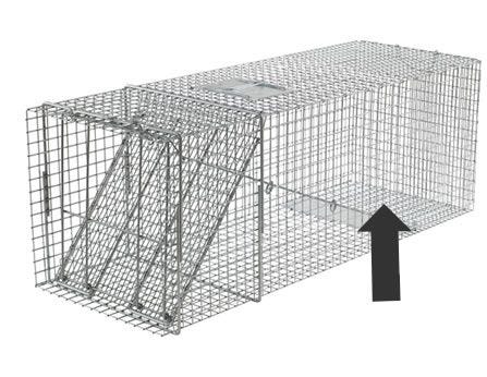 dog trap