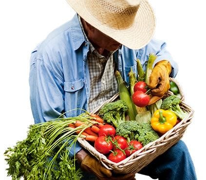 vegetable basket