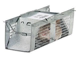 mouse trap