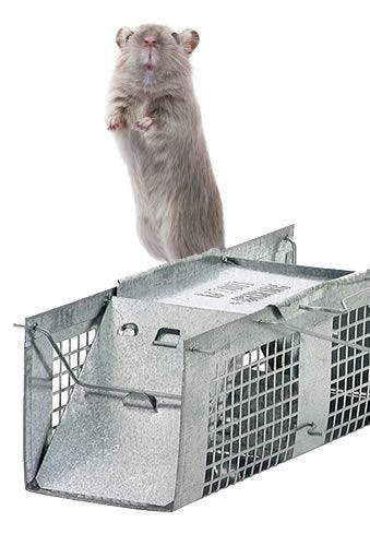 How to Trap Mice | Mouse Traps | Havahart® US