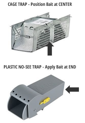 Mouse trap placement deals