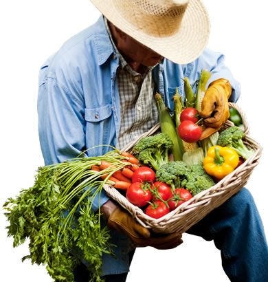 basket of vegetables