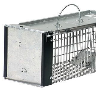 rat trap