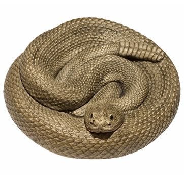 snake