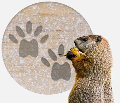 Groundhogs