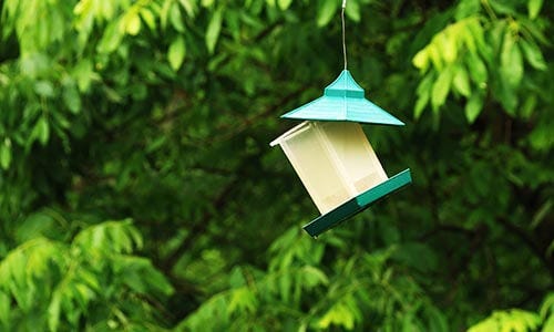 Knocked over bird feeders