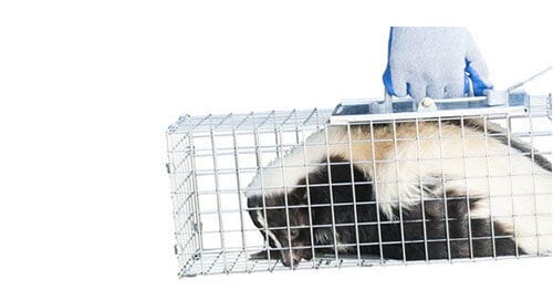 Catch & remove the immediate issue