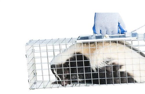 Catch & remove the immediate issue
