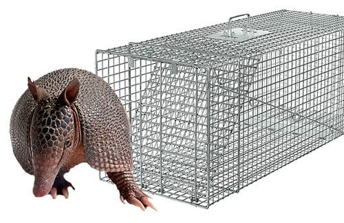 Catch & remove the immediate issue