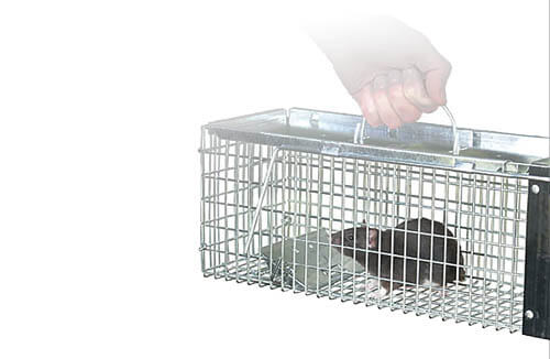 Catch & remove the immediate issue