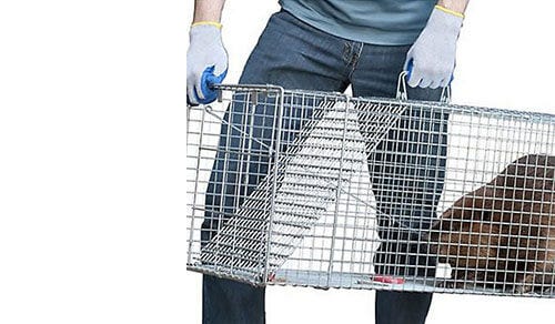 Catch & remove the immediate issue