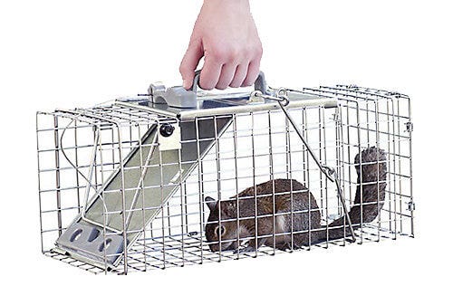 Catch & remove the immediate issue
