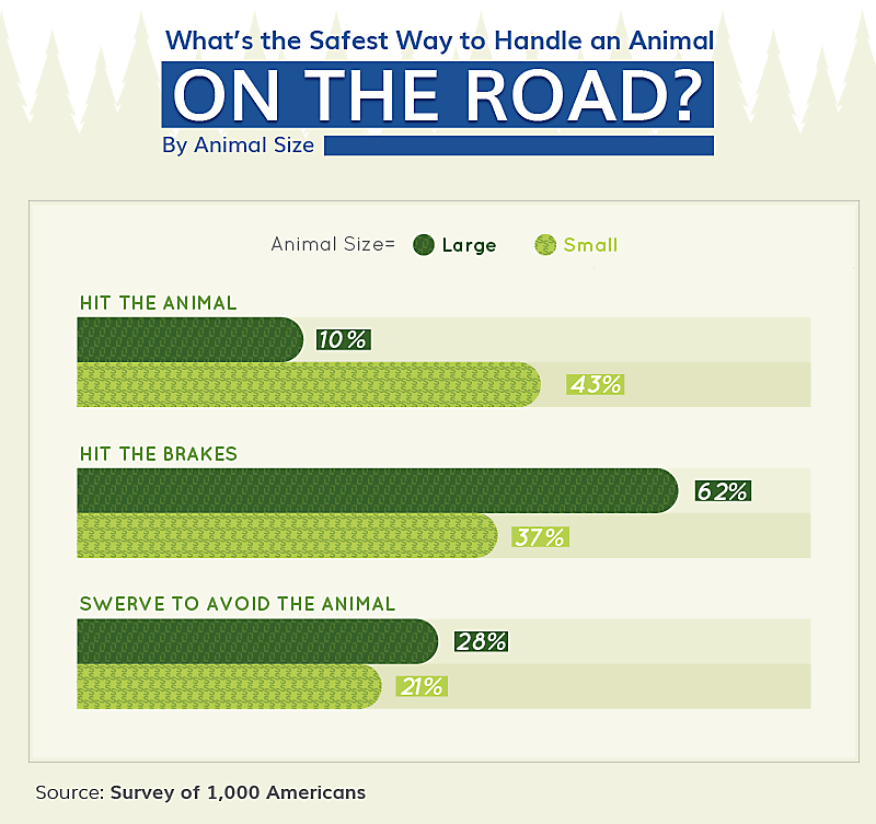 safe way to handle animals on the road