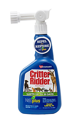 Critter Ridder