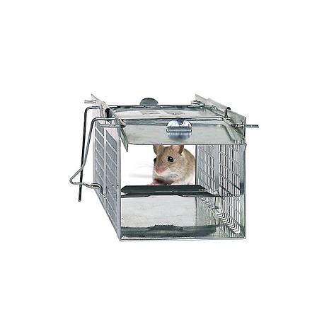 Havahart X-Small 2-Door Professional Live Animal Cage Trap for Mice, Rat  and Vole 1020 - The Home Depot