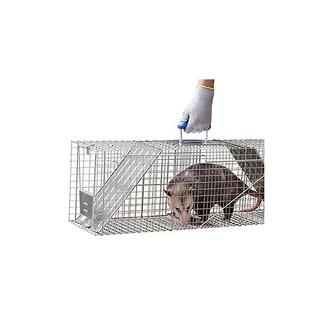 Havahart Galvanized Steel 18 In. 2-Door Large Animal Trap - Henery