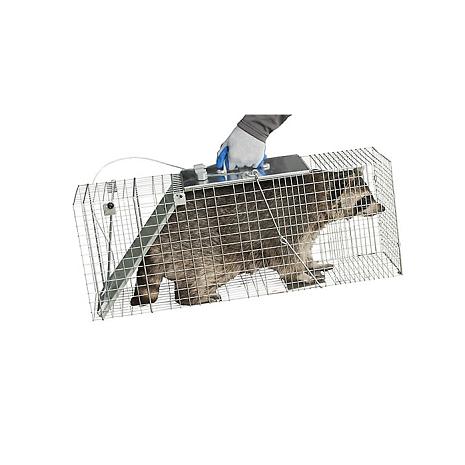 Woodstream - Havahart - EZ Set Cage Trap - Raccoon 1085 Easy Set Live Animal  Cage Trap