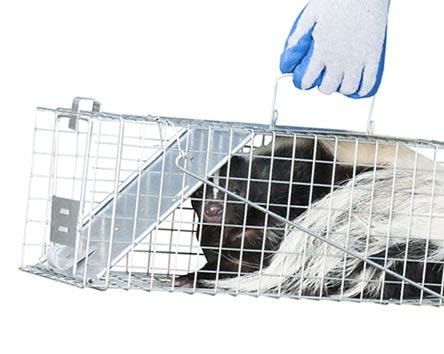 Safe for you and the animal