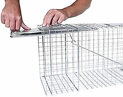 Havahart Collapsible Easy Set 1-Door Traps in the Animal & Rodent Control  department at