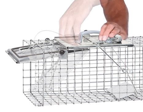 Havahart 1083 Easy Set One-Door Cage Trap for Squirrels and Small Rabbits