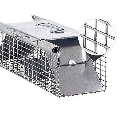 How To Set Havahart 2 Door Trap - Hamilton Nesecale