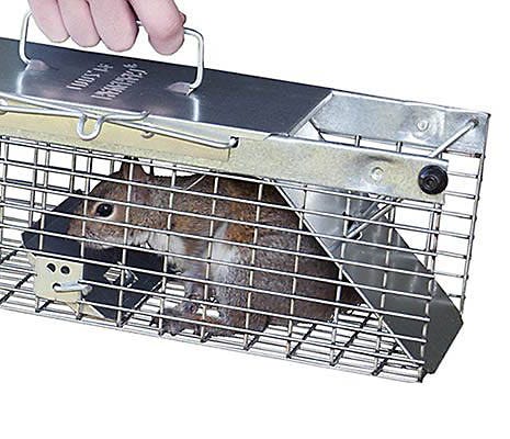 Havahart Live Trap- Small Squirrel model 1025 - Wagon Wheel