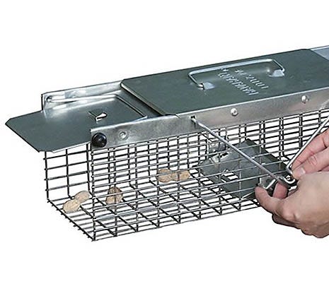 Havahart Live Trap- Small Squirrel model 1025 - Wagon Wheel