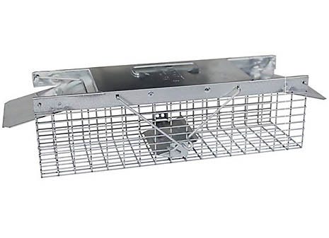 How To Set Havahart 2 Door Trap - Hamilton Nesecale