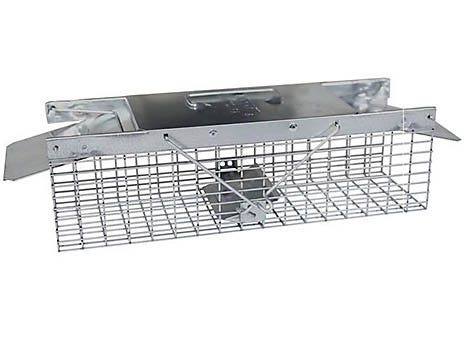 Havahart® 2-Door Live Animal Cage Trap for Squirrel, Chipmunk, Rat, and  Weasel - Runnings