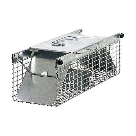 Havahart Galvanized Steel 17 In. Live Squirrel Trap - Mt. Sinai